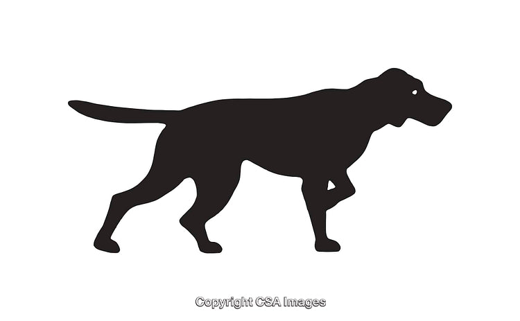 Silhouette Illustration of a Hunting Dog in Black and White