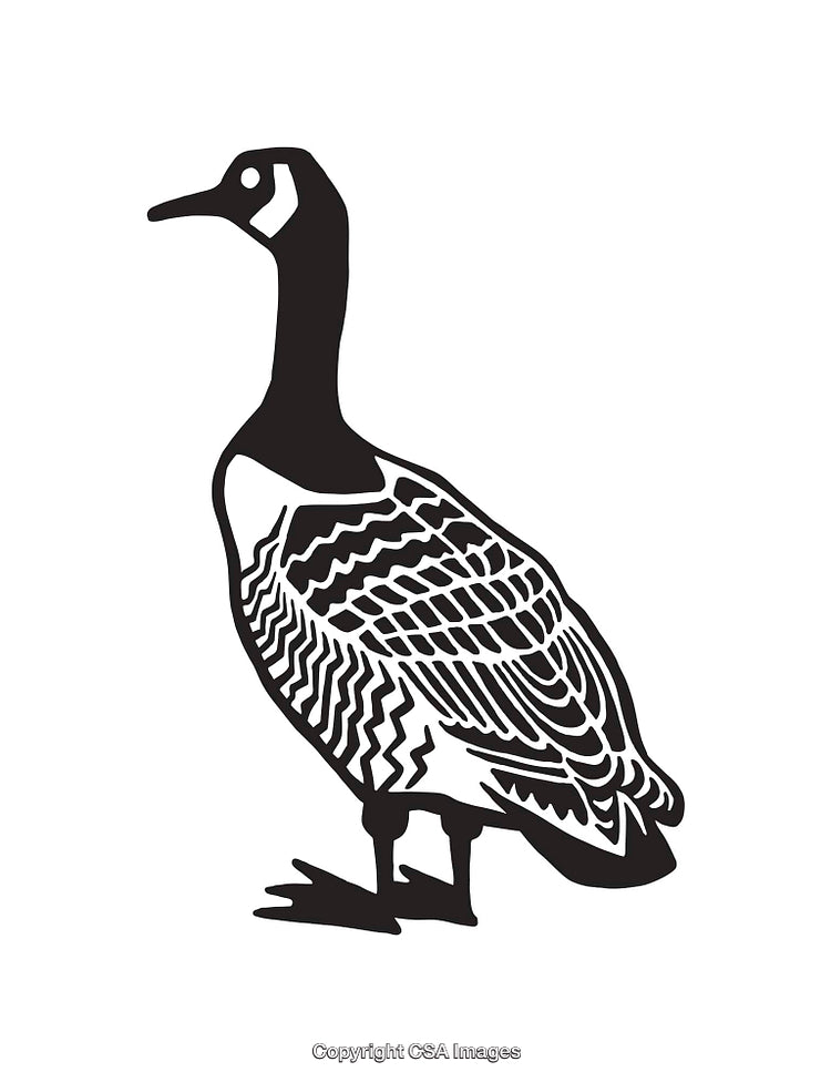 Black and White Line Art Illustration of a Goose