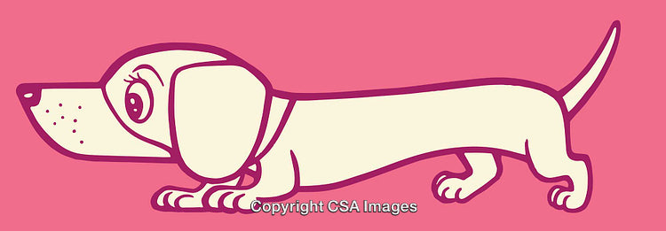 Playful Cartoon Illustration of a Long Dachshund on a Pink Background