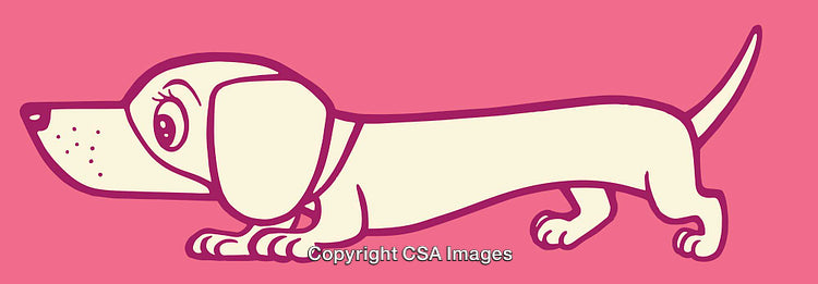 Playful Cartoon Illustration of a Long Dachshund on a Pink Background