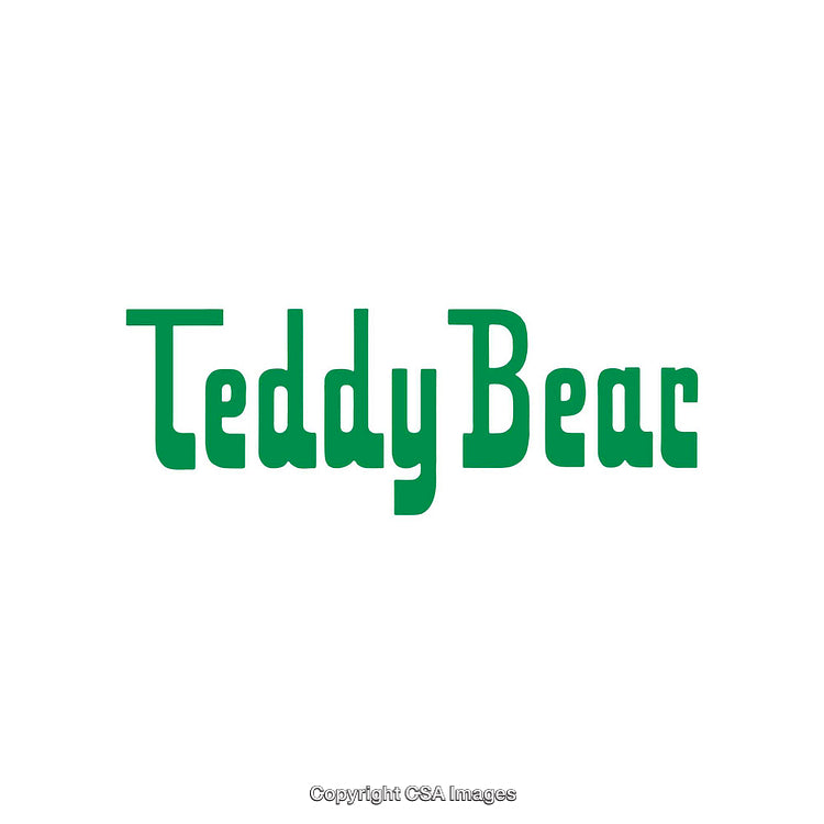 Green Text Logo Reading Teddy Bear on Clean White Background