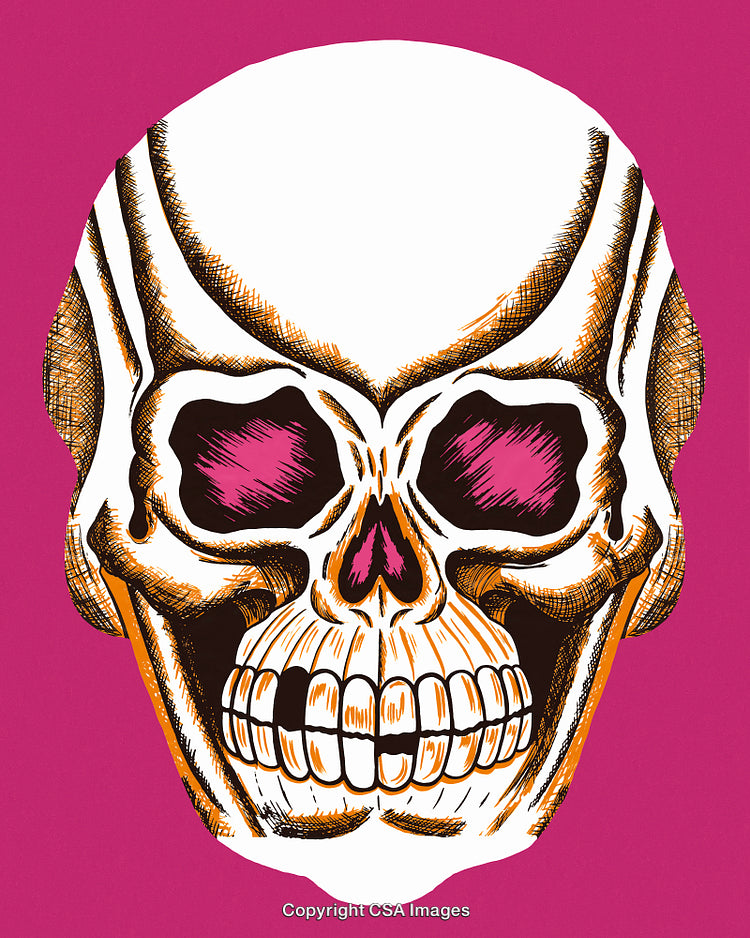Colorful Artistic Skull Illustration with Pink Background and Detailed Features