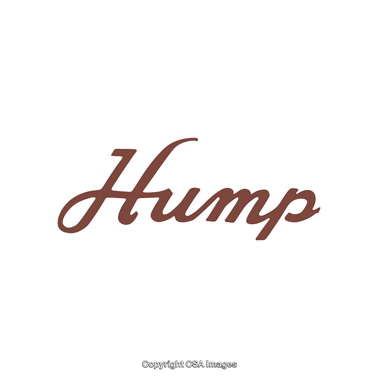 Stylized Word Hump in Elegant Script Typography