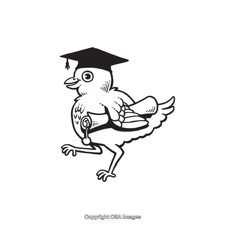 Cartoon Bird Graduation Illustration Wearing Cap and Holding Diploma