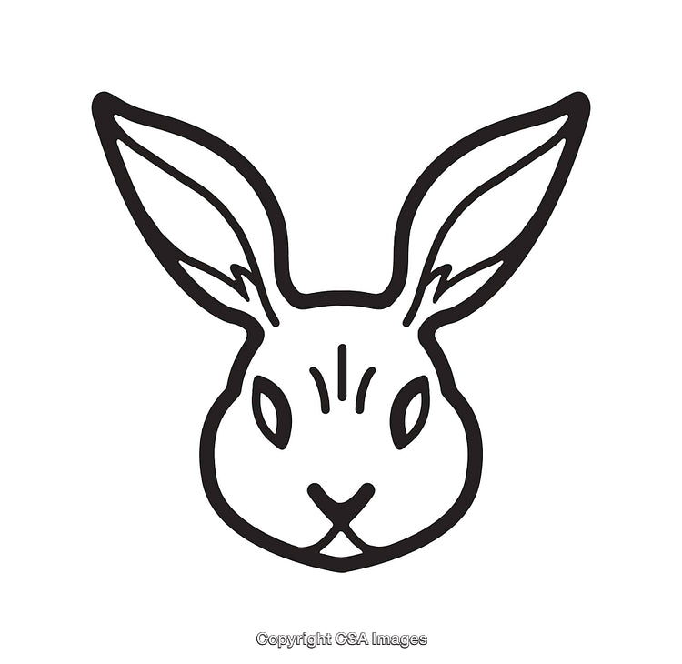Simple Black and White Line Drawing of a Rabbit's Head