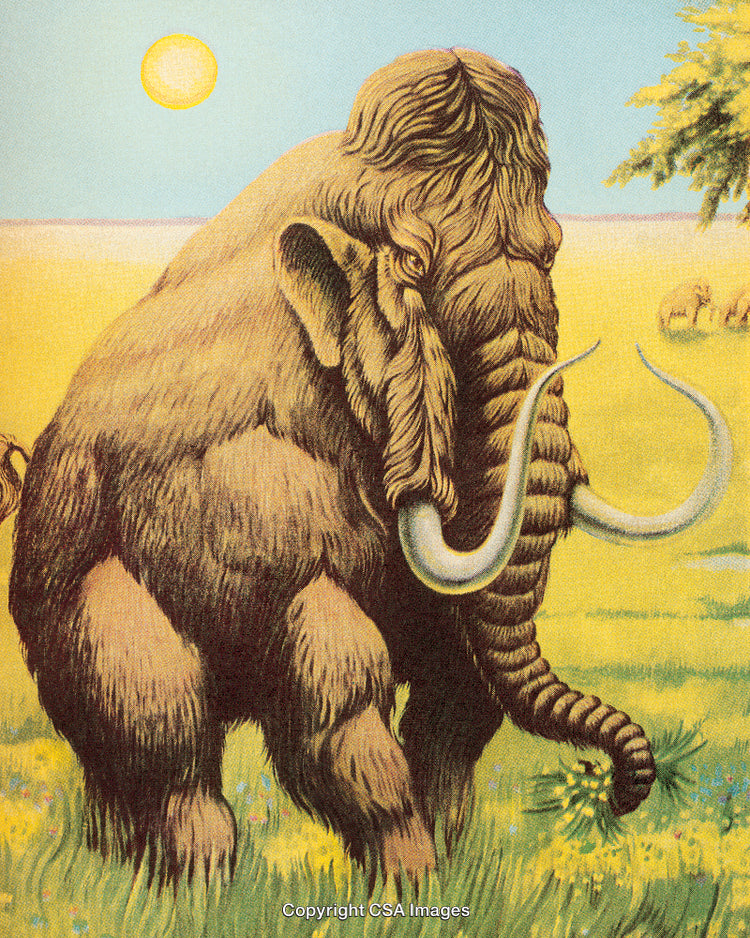 Illustrated Woolly Mammoth in a Sunny Grassland Scene