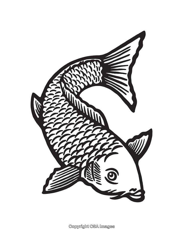 Detailed Black and White Line Art Illustration of a Koi Fish