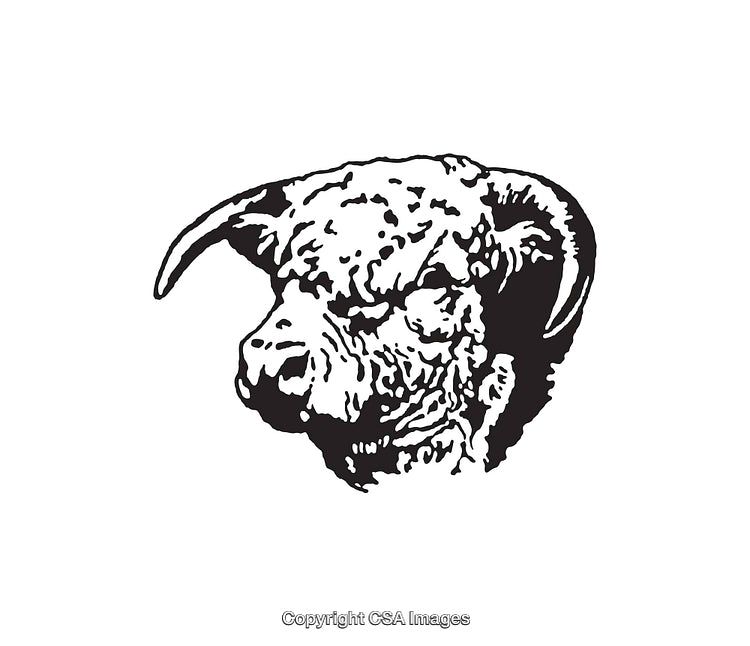 Detailed Black and White Line Art Illustration of a Ram's Head