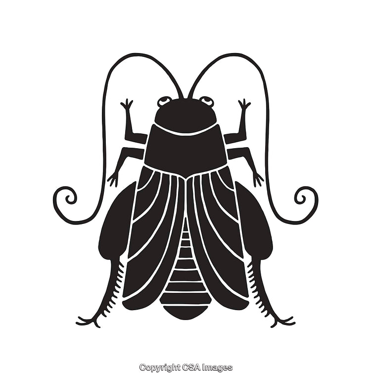 Black and White Line Art of a Stylized Cricket Insect