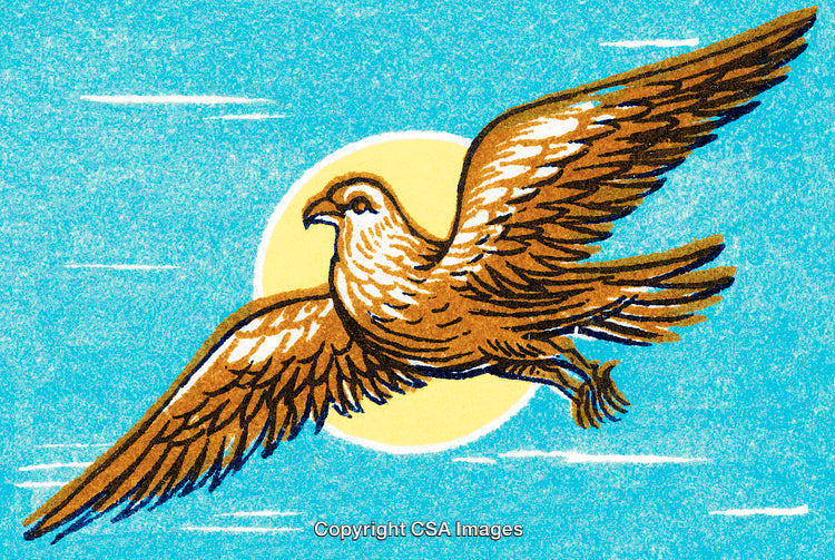 Illustration of a Soaring Bird with a Sunlit Sky Background