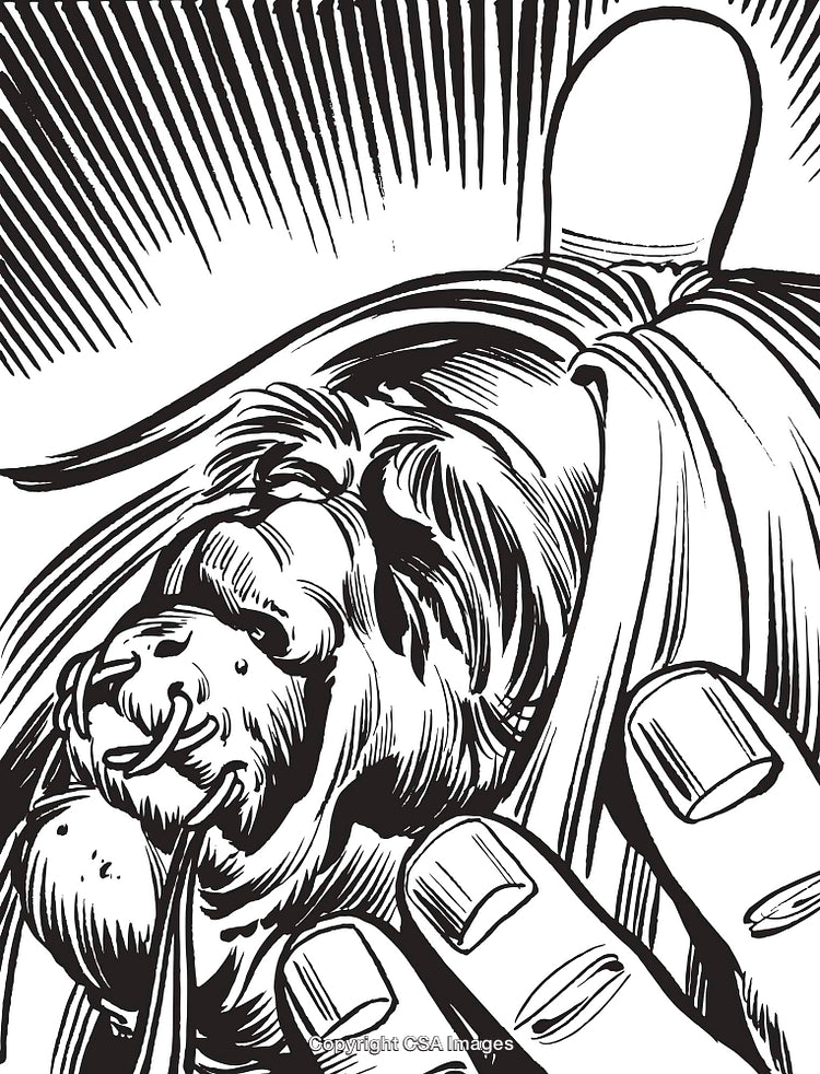 Detailed Black and White Illustration of a Lion's Head and Human Hands