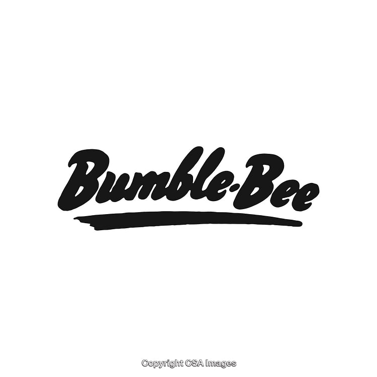 Stylish Black Handwritten Text Logo Design on White Background