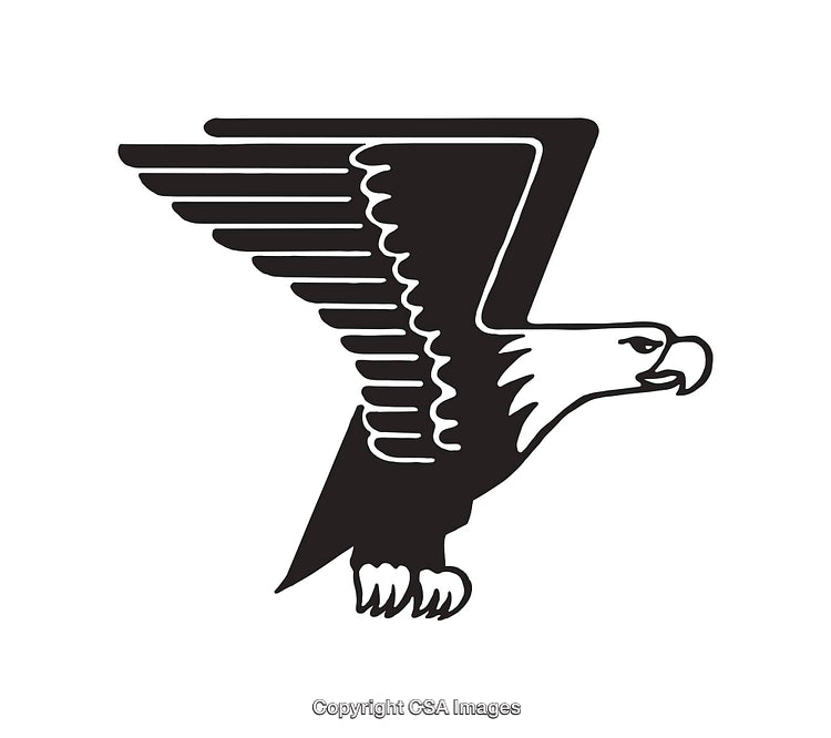 Flying Eagle Black and White Line Art Illustration for Design