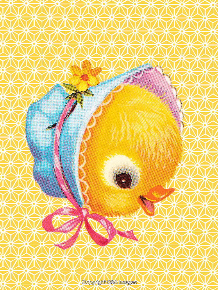 Adorable Chick Wearing a Bonnet on a Bright Decorative Pattern Background