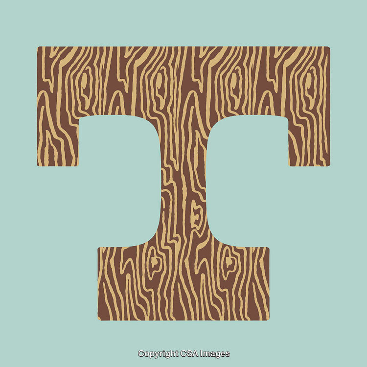 Wood Textured Letter T on a Light Blue Background Design