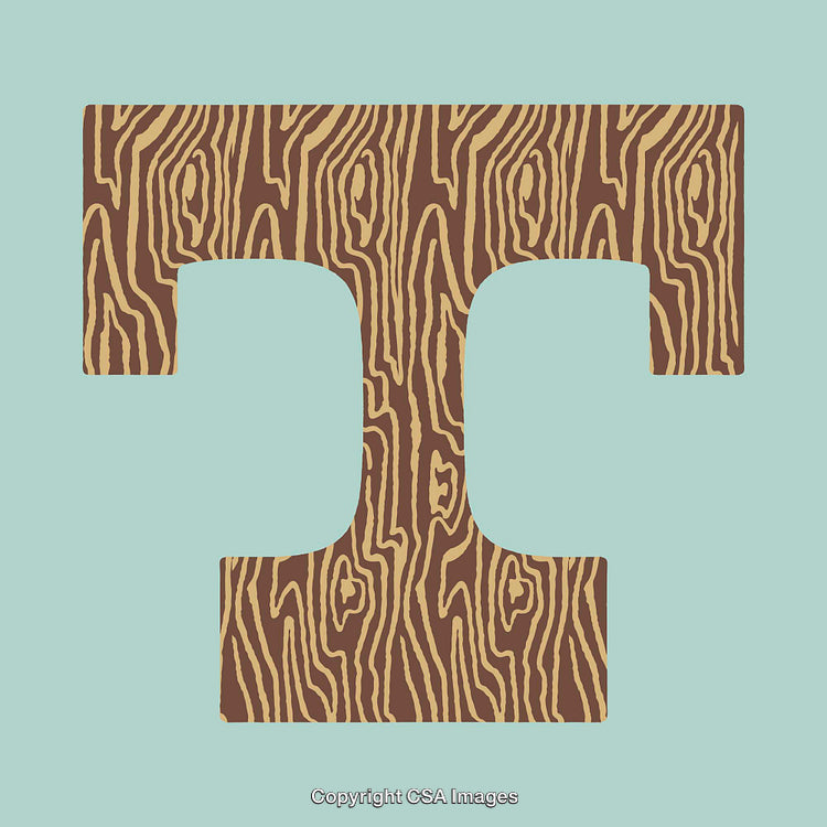 Wood Textured Letter T on a Light Blue Background Design