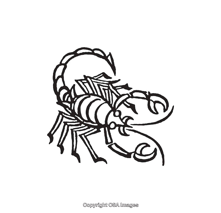 Black and White Scorpion Line Art Illustration in Minimalist Style
