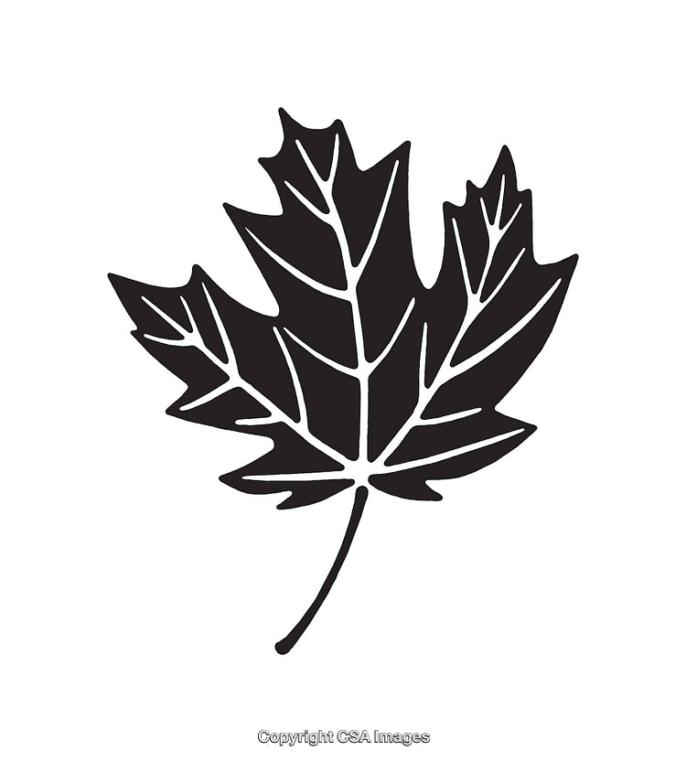 Black and White Illustration of a Maple Leaf Silhouette