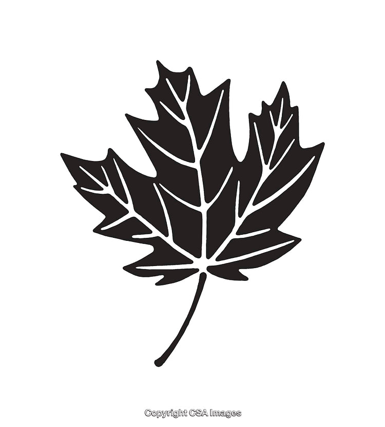 Black and White Illustration of a Maple Leaf Silhouette
