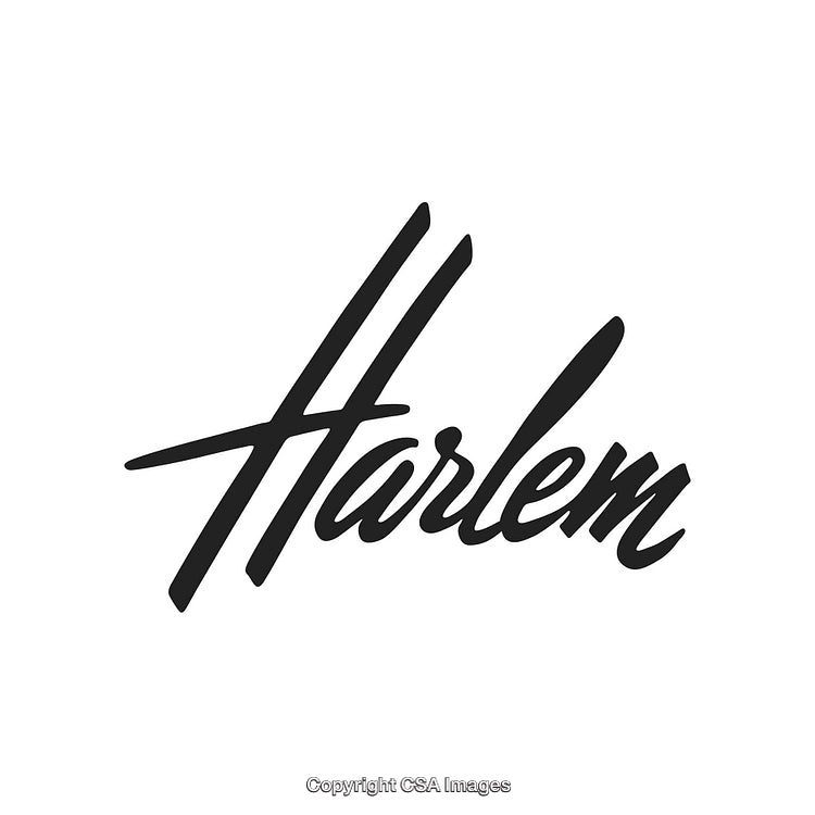 Stylish Script Typography Featuring the Word Harlem in Elegant Black Font