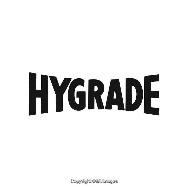 Hygrade Logo With Bold Stylized Text in Black