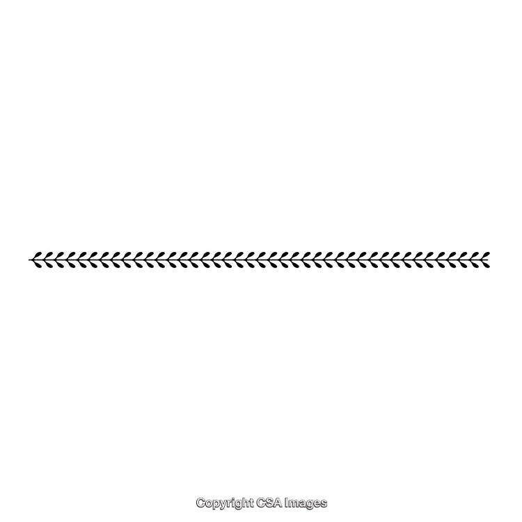 Elegant Black And White Thin Decorative Border Design Element