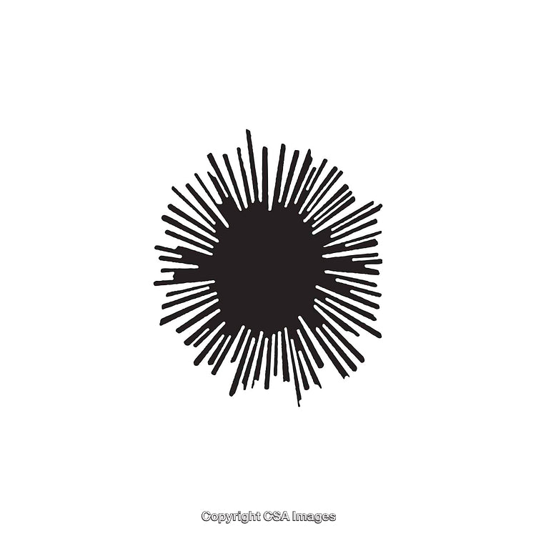 Black And White Abstract Radial Shape Artwork on White Background