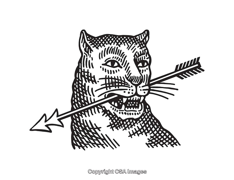 Intricate Black and White Line Art Depicting a Panther with Arrow