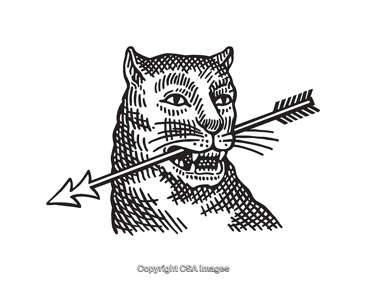 Intricate Black and White Line Art Depicting a Panther with Arrow