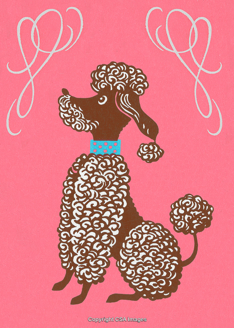 Stylized Retro Illustration of a Poodle on a Pink Background