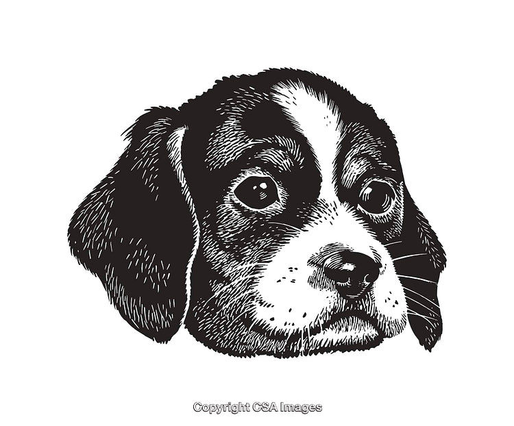 Black and White Line Art Illustration of a Dog's Expressive Face