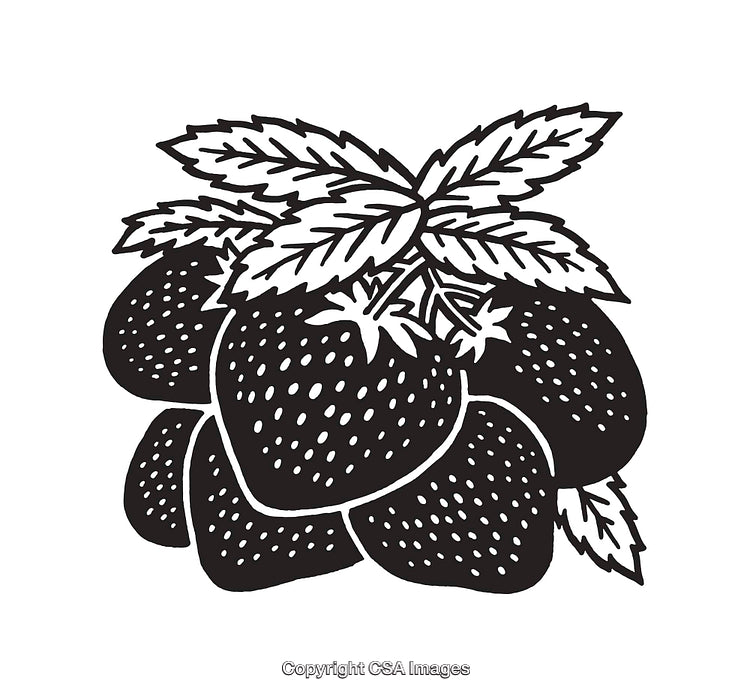 Black and White Line Art Illustration of Strawberries with Leaves