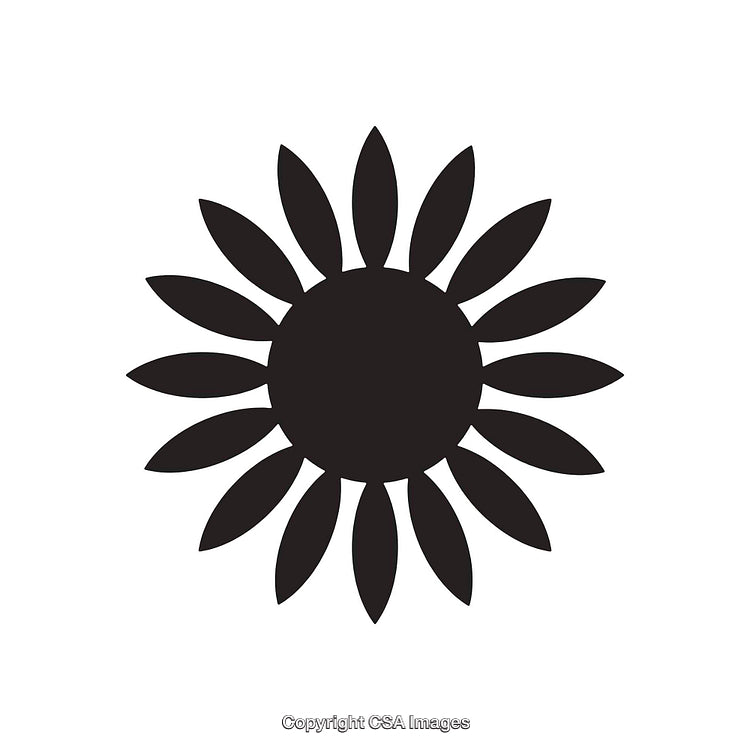 Silhouette of Simple Sunflower Symbol with Black Petals