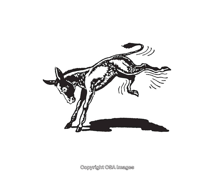 Playful Jumping Donkey Illustrated in Black and White Line Art Style