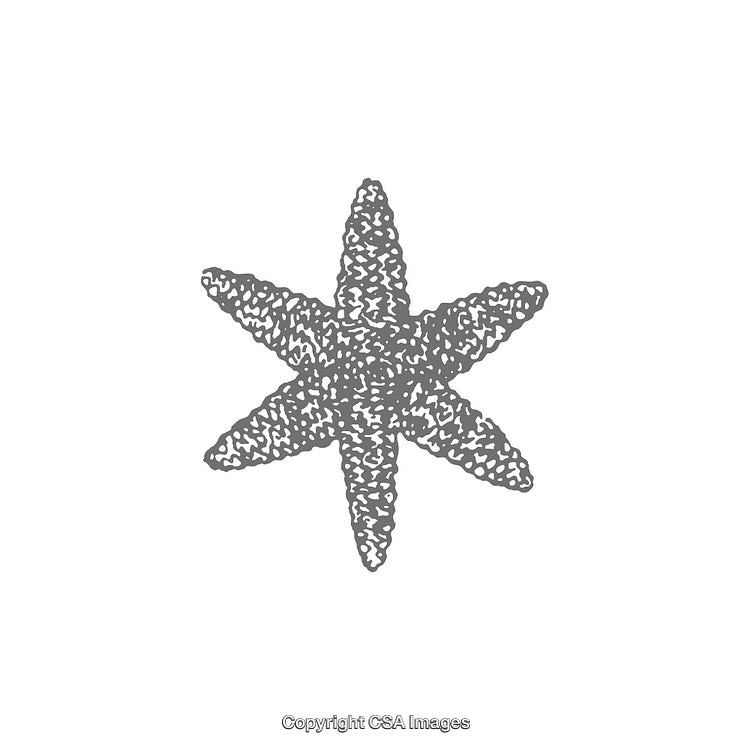 Illustration of Abstract Star Shape with Intricate Pattern Design