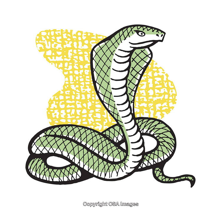 Stylized Illustration of a Cobra Snake with a Bold Graphic Design