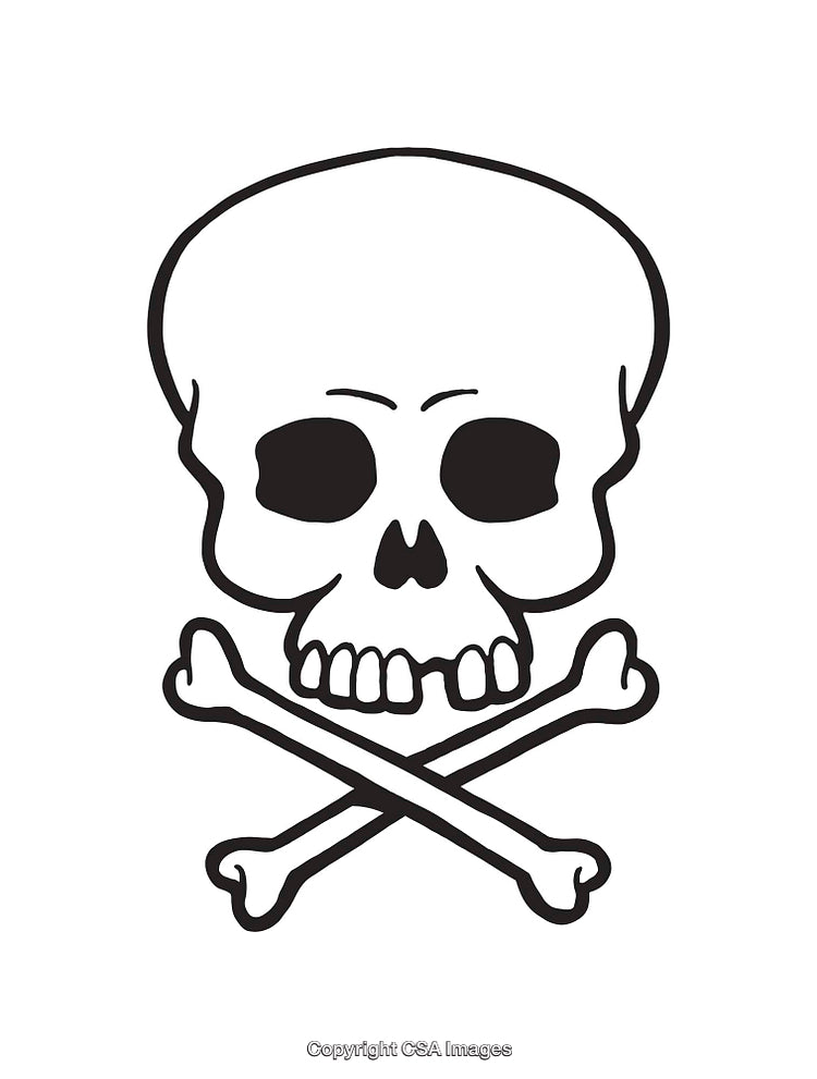 Black and White Skull with Crossbones Line Art Illustration