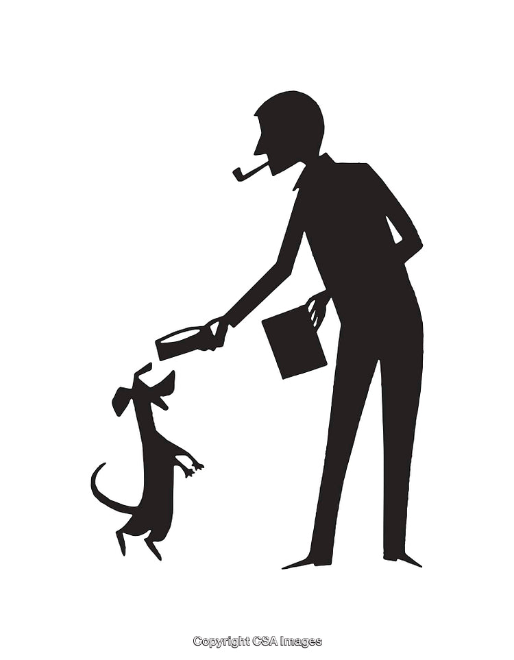 Silhouette of a Man and Dog Engaged in Activity