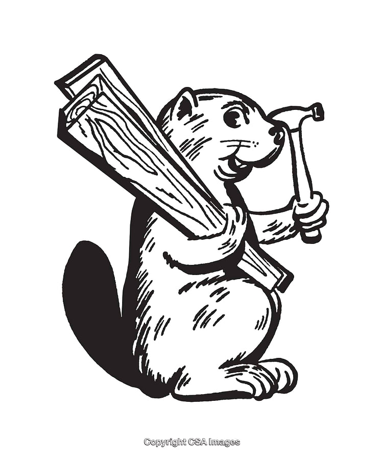 Cartoon Beaver Holding Hammer and Plank in Black and White Line Art
