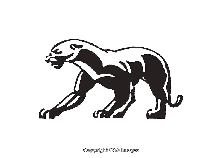 Black and White Illustration of Aggressive Panther Silhouette