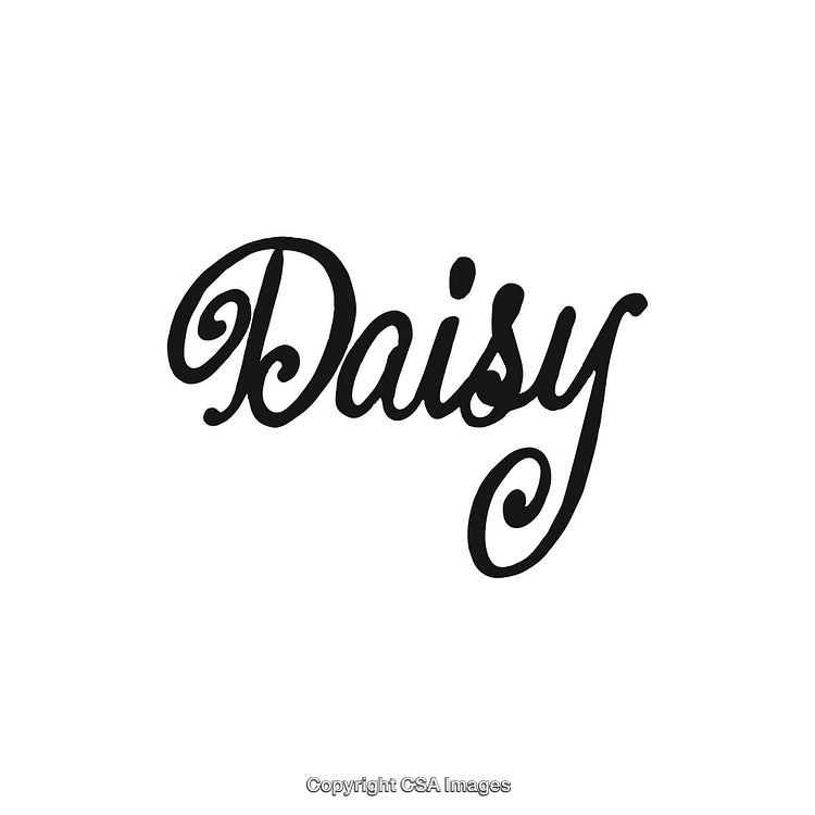 Stylish Daisy Text Logo with Calligraphic Font and Elegant Design