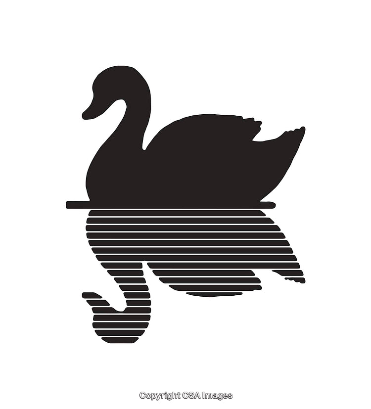 Elegant Black and White Swan Illustration with Striped Reflection