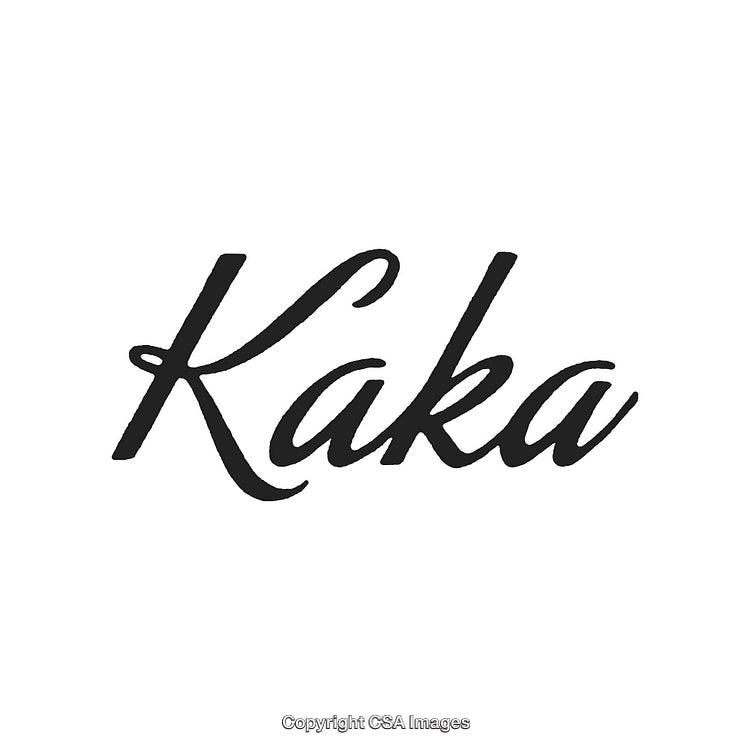 Elegant Handwritten Typography Featuring the Word 'Kaka' on a White Background