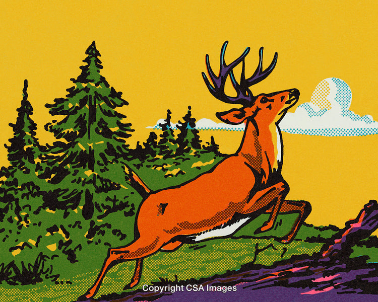 Vibrant Illustration of a Majestic Forest Scene Featuring A Graceful Deer