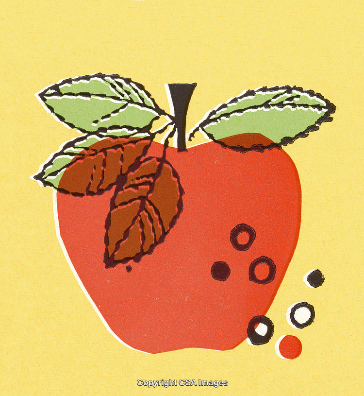 Stylized Illustration of a Red Apple With Lush Green and Brown Leaves