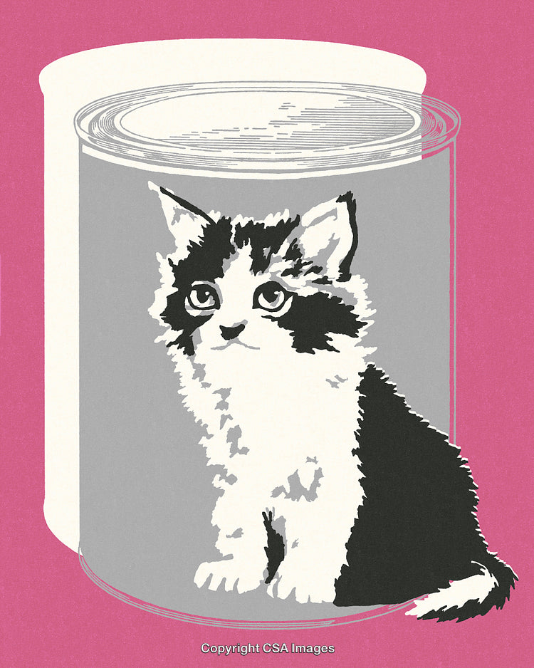 Stylized Black and White Kitten Illustration on a Pink Background