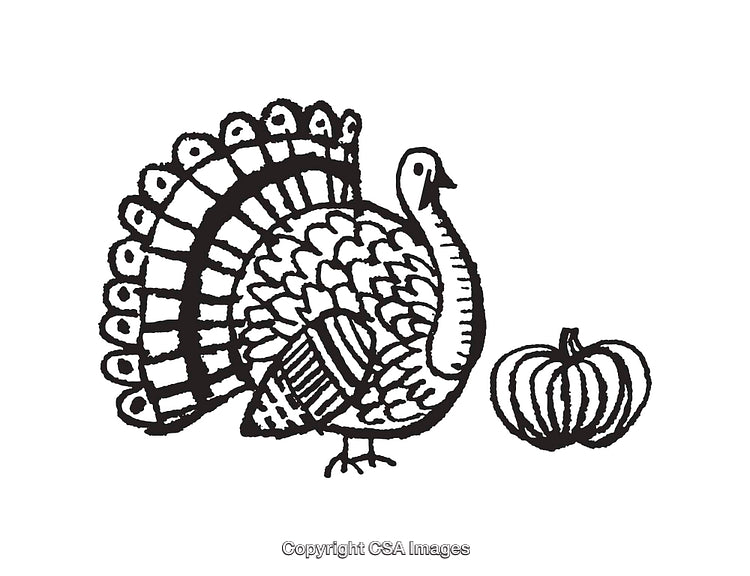 Black and White Line Art of Turkey and Pumpkin Illustration