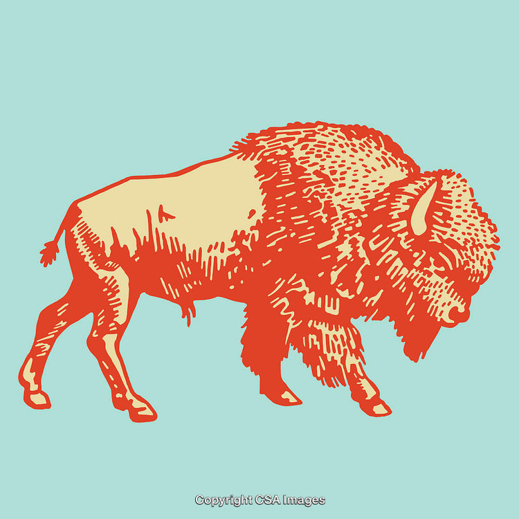 Colorful Line Art Illustration of a Bison on a Light Background