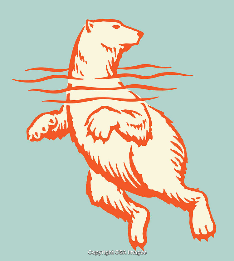 Polar Bear Line Art Illustration in Serene Aquatic Style