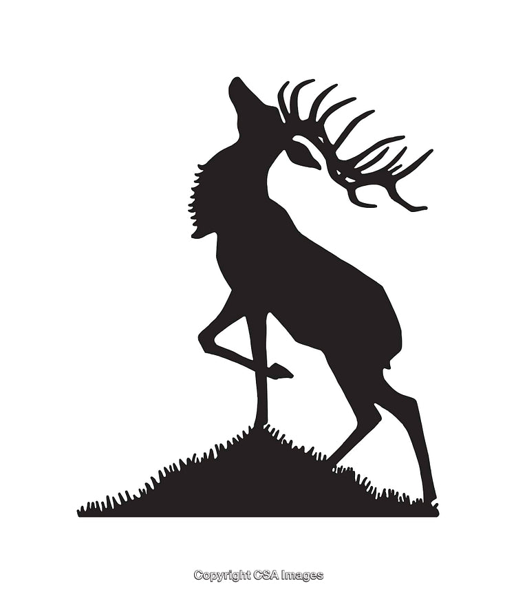 Wildlife Silhouette of a Majestic Stag with Antlers in Black and White